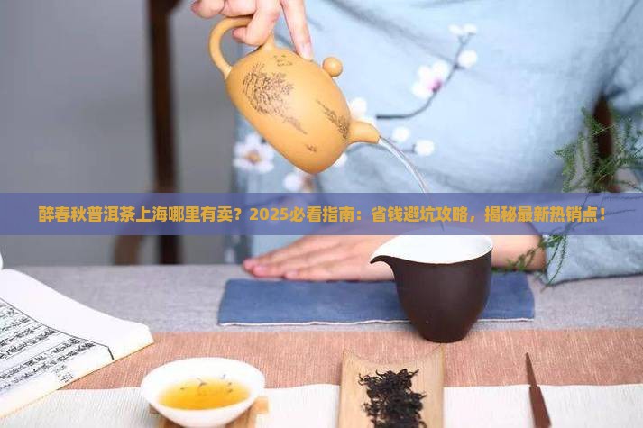 醉春秋普洱茶上海哪里有卖