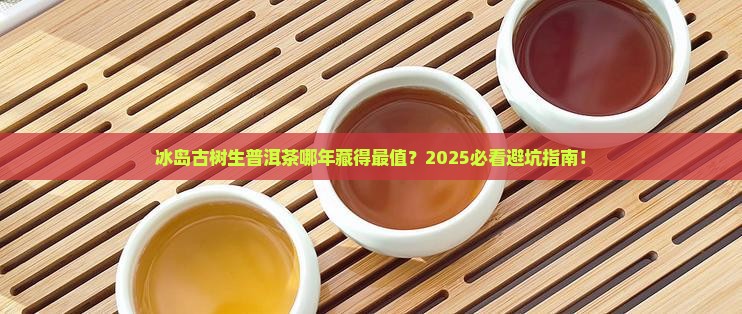 冰岛古树生普洱茶哪年的好
