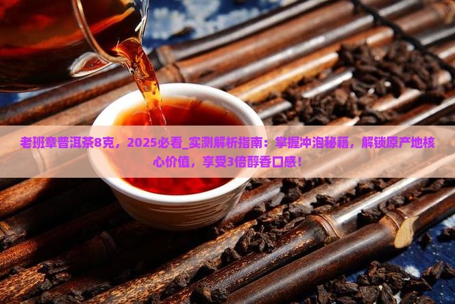 老班章普洱茶8克