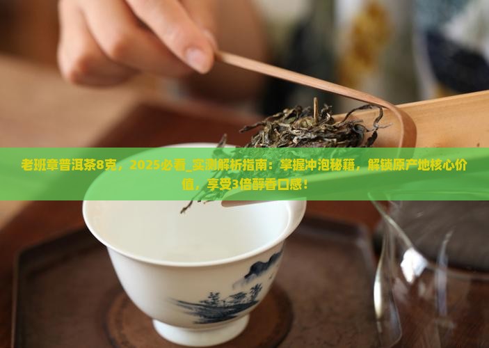 老班章普洱茶8克