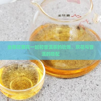 金银花菊花能放点普洱茶吗