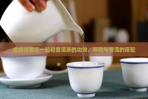 金银花菊花能放点普洱茶吗