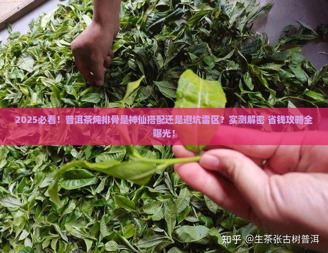 普洱茶可以和排骨一起煮吗