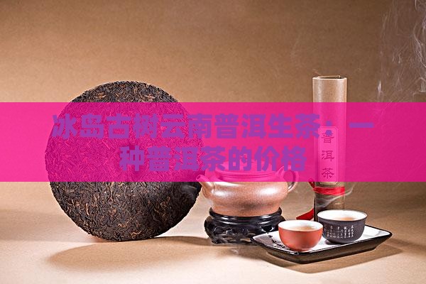 冰岛古树云南普洱生茶