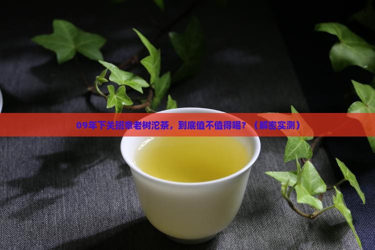 09年下关班章老树沱茶