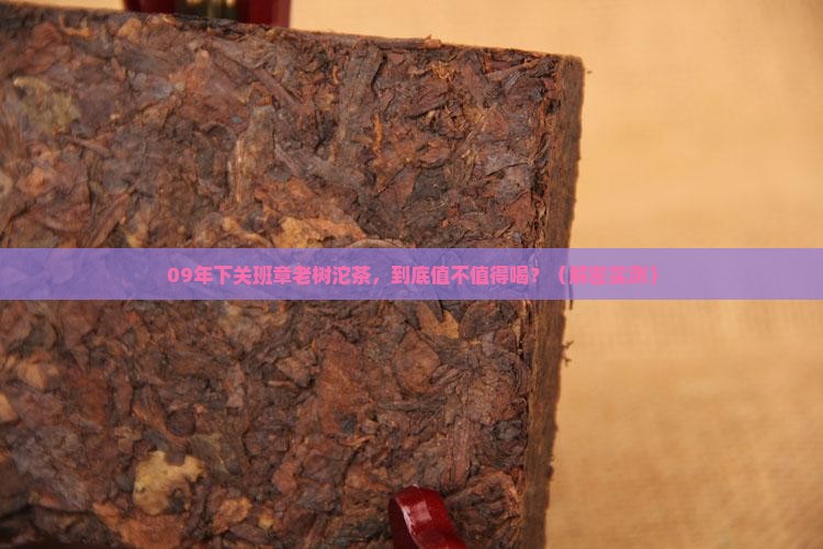 09年下关班章老树沱茶