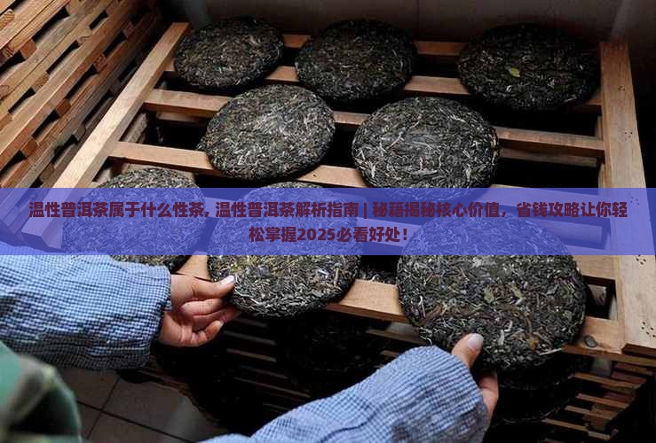 温性普洱茶属于什么性茶