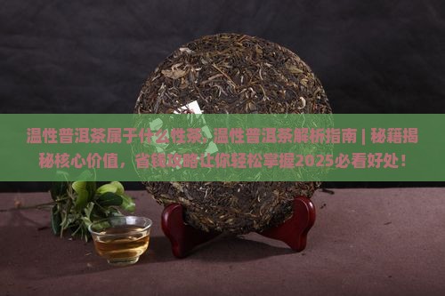 温性普洱茶属于什么性茶