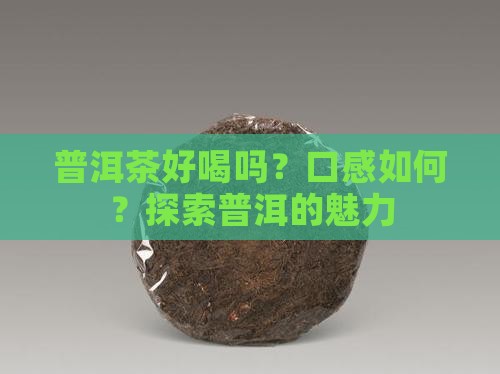 茶人的普洱茶怎么样好喝吗
