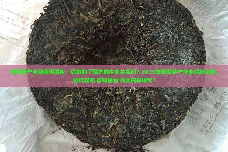 普洱茶产业链和生态关系