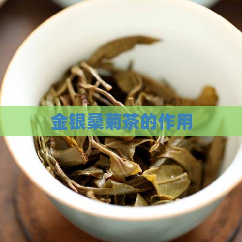 金银桑菊茶的作用