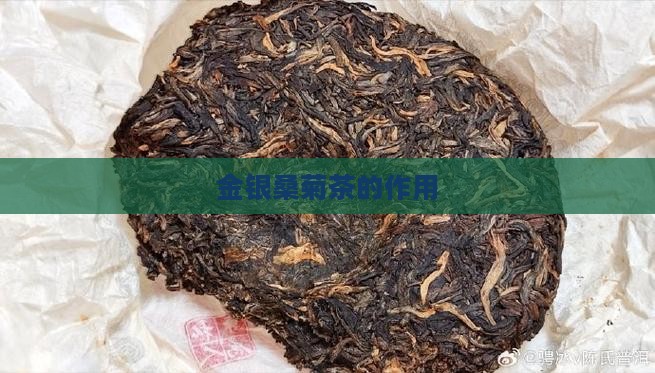金银桑菊茶的作用