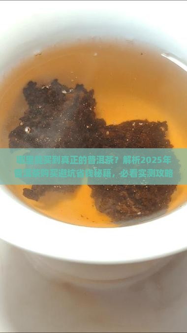 哪里能买到真正的普洱茶
