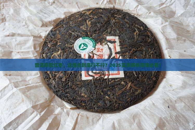 普洱茶能泡枣子吗百度百科