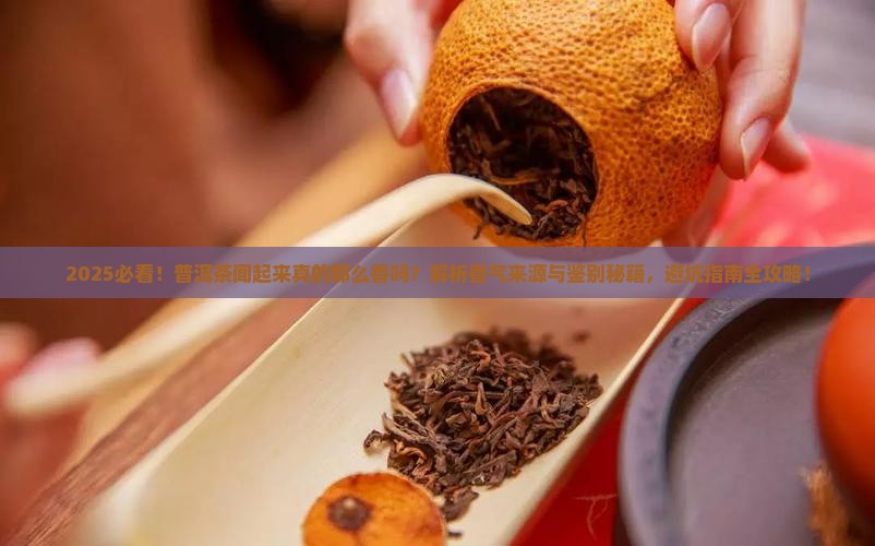 普洱茶闻起来那么香吗怎么回事