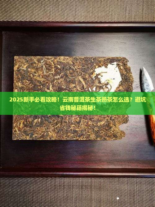 云南普洱茶生茶还是熟茶