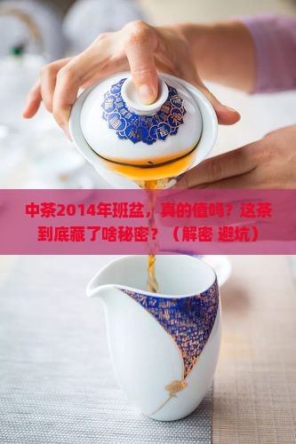 中茶2014年班盆
