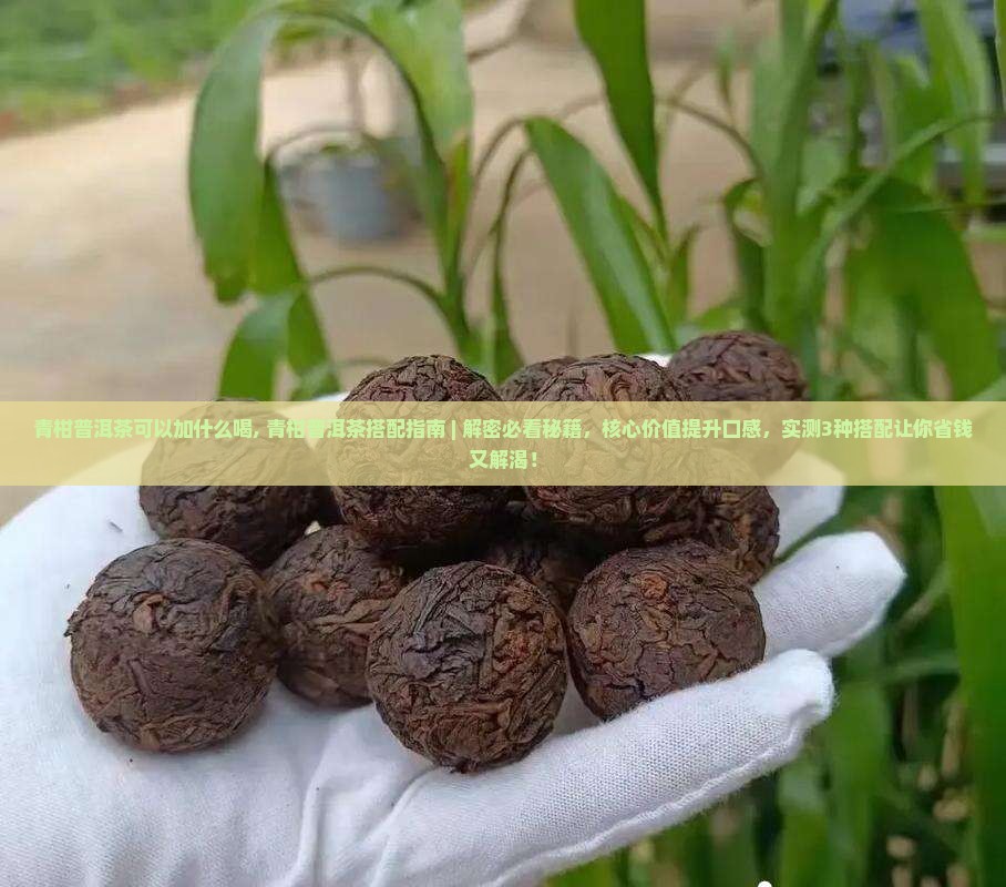 青柑普洱茶可以加什么喝