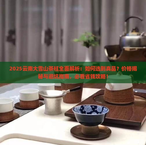 云南大雪山茶柱