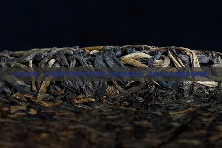 十两茶和千两茶的区别