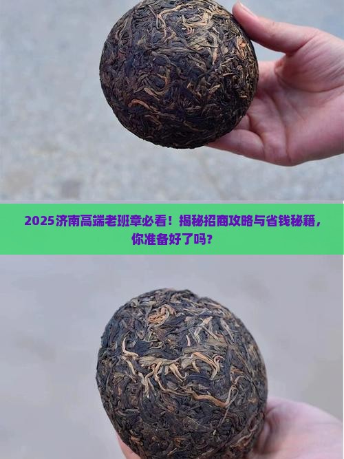 济南高端老班章招商