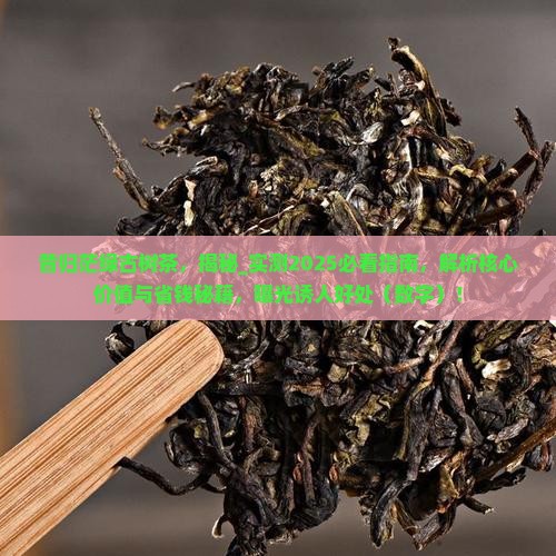 昔归茫绿古树茶