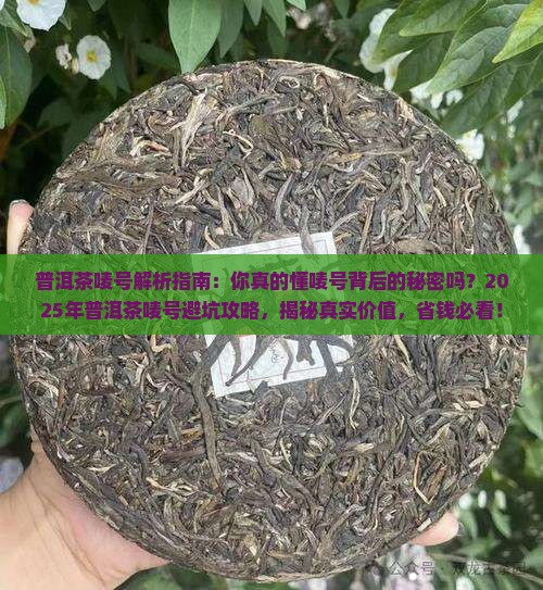 普洱茶唛号解析