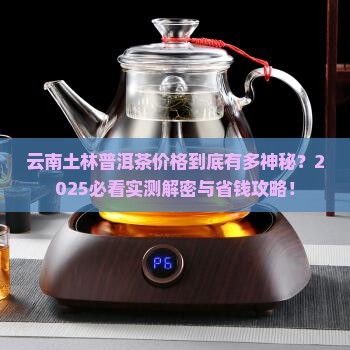 云南土林普洱茶价格多少