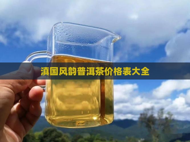 滇国风韵普洱茶价格表