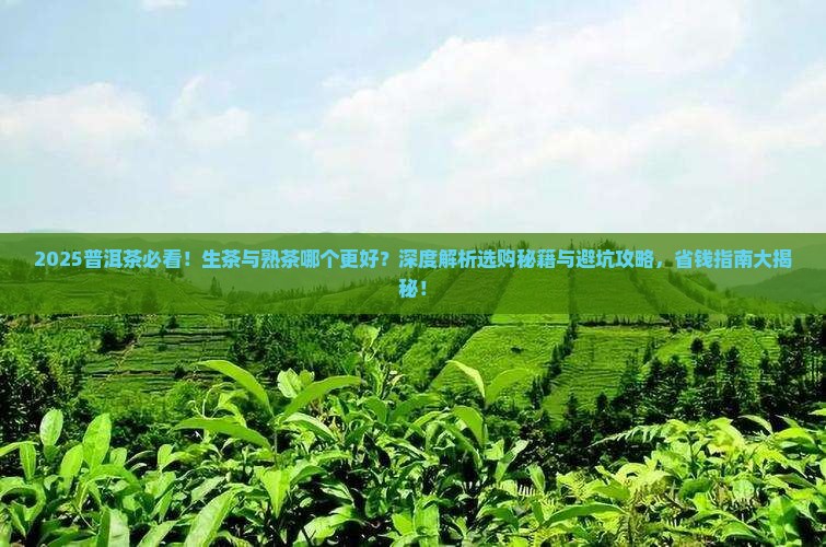 普洱茶叶是生茶好还是熟茶好呢