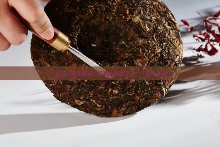一年到头喝茶好吗