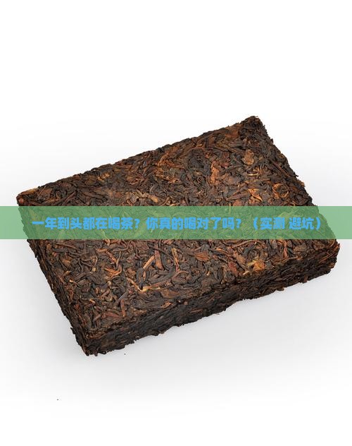 一年到头喝茶好吗