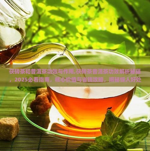 茯砖茶和普洱茶功效与作用