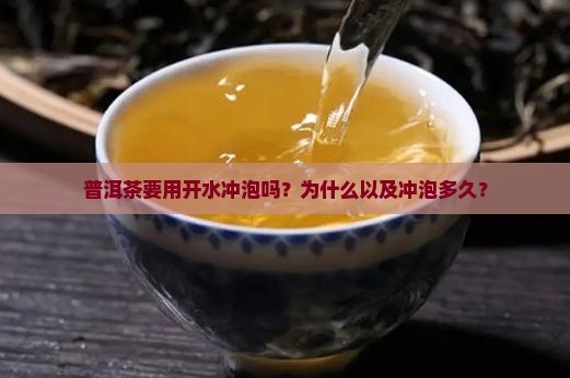 普洱茶要用开水冲泡吗