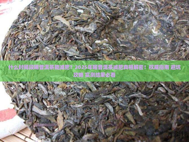 什么时间段喝普洱茶能减肥