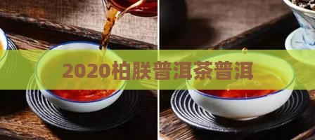 2020柏朕普洱茶 2020柏朕普洱茶