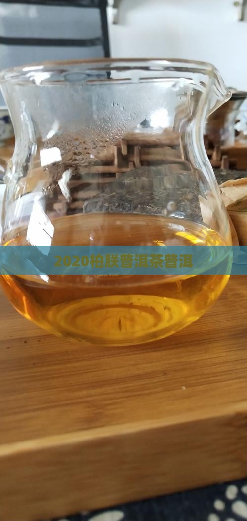 2020柏朕普洱茶 2020柏朕普洱茶