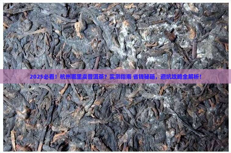 杭州哪里卖普洱茶