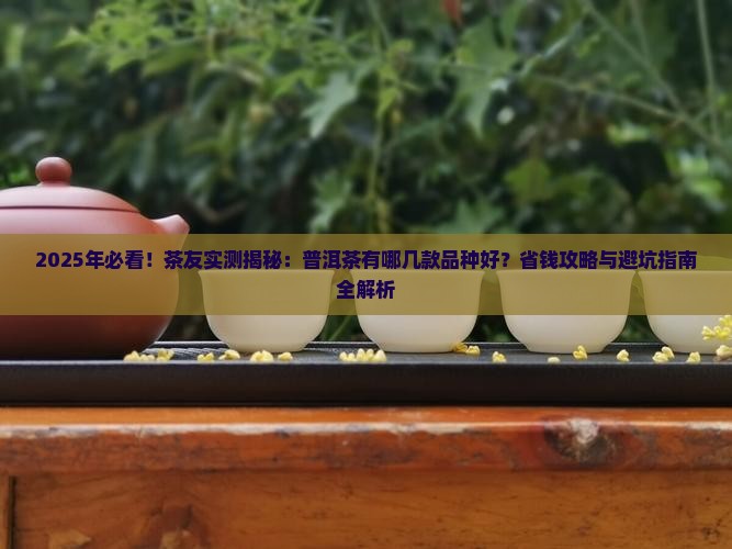 普洱茶有哪几款品种好