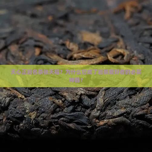 天心正岩名茶张天福