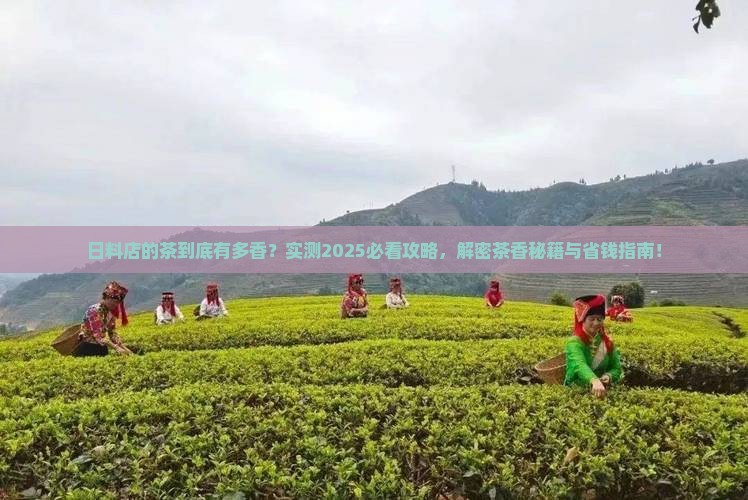 日料店的茶是什么茶很香