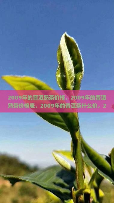 2009年的普洱熟茶价格