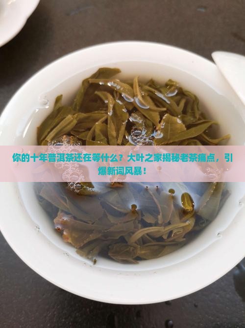 大叶之家十年普洱茶