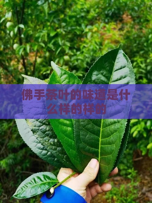 佛手茶的味道是什么样的
