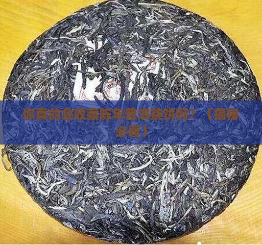 珍藏陈年普洱茶饼