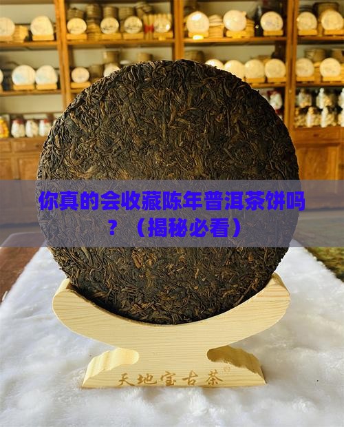珍藏陈年普洱茶饼