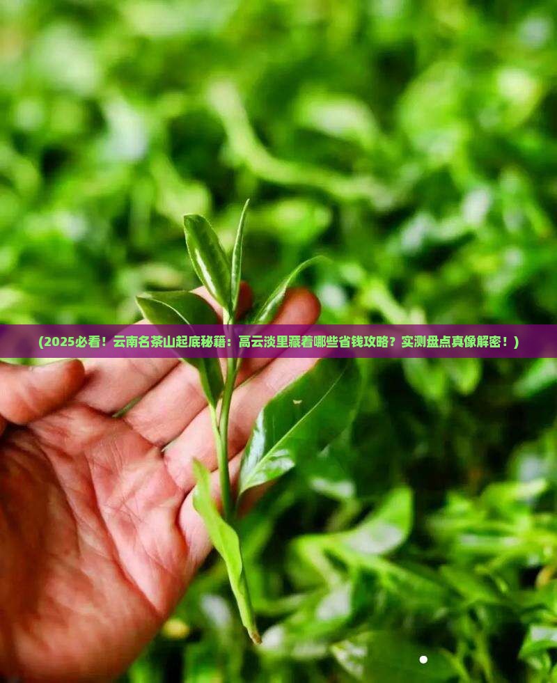 云南省名茶山高云淡悠久流长