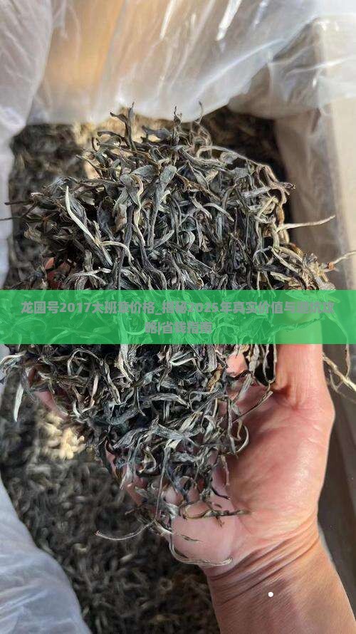 龙园号2017大班章价格