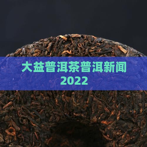 大益普洱茶新闻2022
