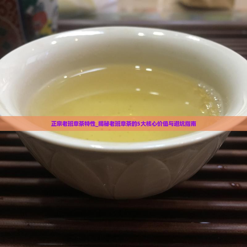 正宗老班章茶特性